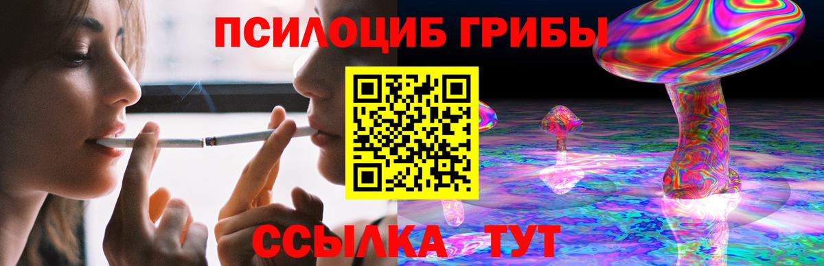 Галлюциногенные грибы Psilocybine cubensis  Псилоцибиновые грибы GOLDEN TEACHER  Красный Сулин  Вход с VPN 